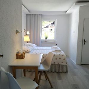 Klassieke Familie Kamer met Twee Aparte Bedden
